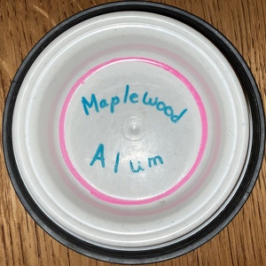 Fundraising Page: Megan Gangl